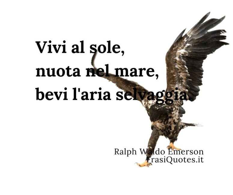 Frase del Giorno _ Frasi vivi la Vita