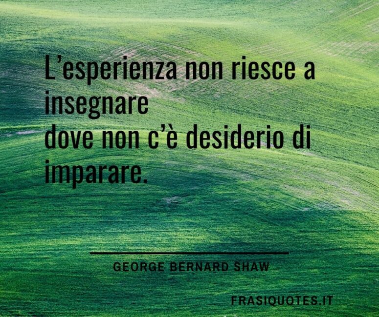 Citazioni Belle sull'esperienza