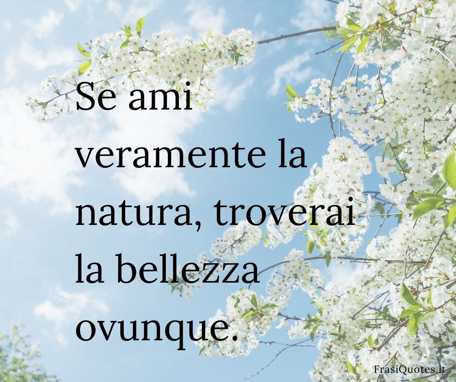 Frasi belle corte sulla natura | Frasi sulla bellezza - Frasi