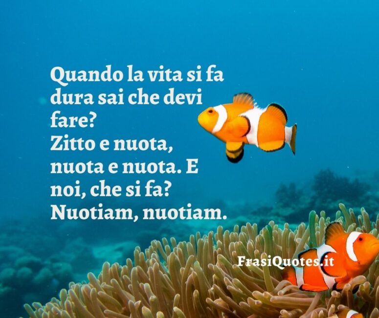 Citazioni Nemo Zitto e nuota, _ Frasi sulla vita dura