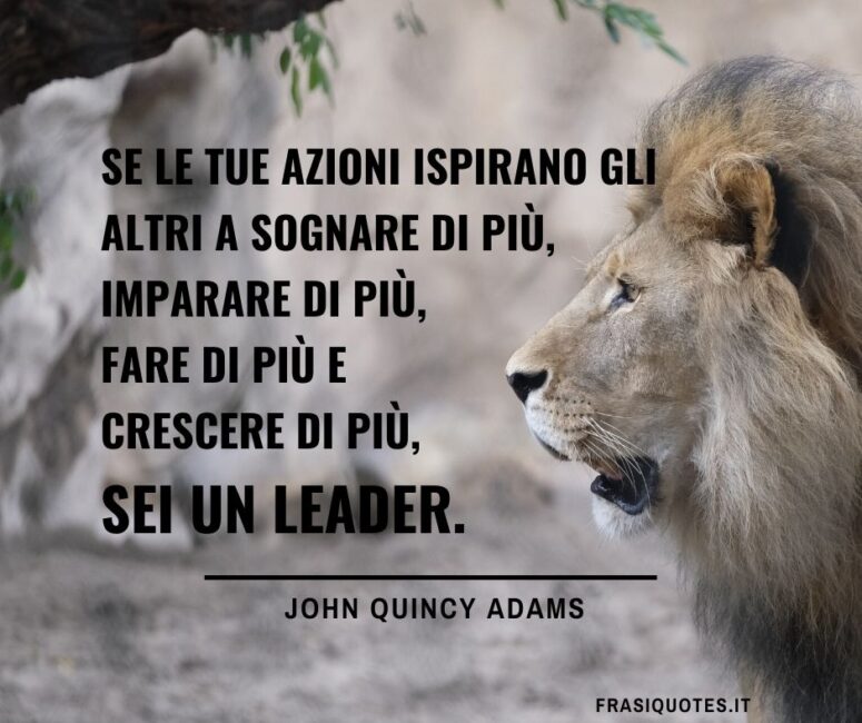 Citazione sui leader