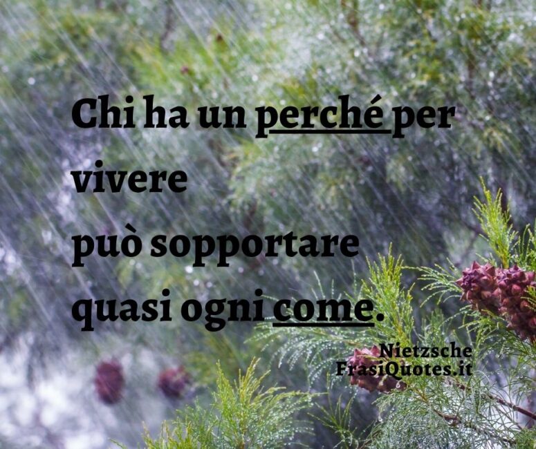 Citazioni Tumblr corte _ Frasi sugli obiettivi _ Nietzsche