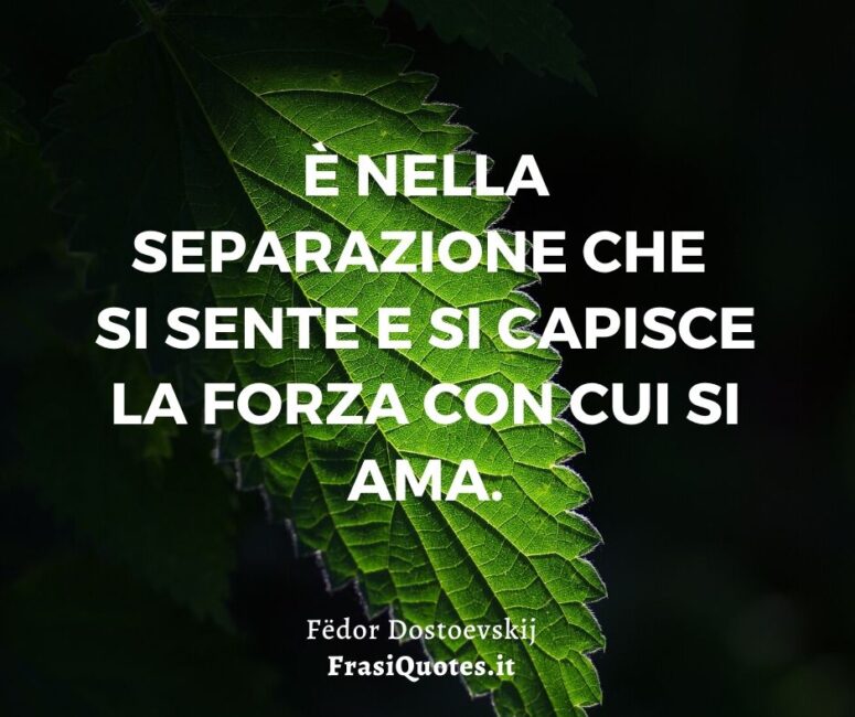 Frasi sulla separazione