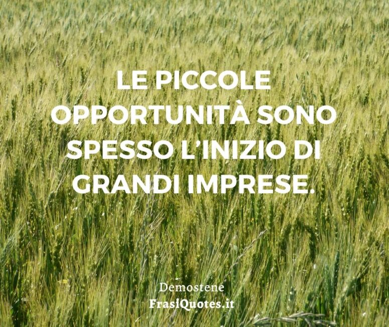 Frasi sulle opportunità