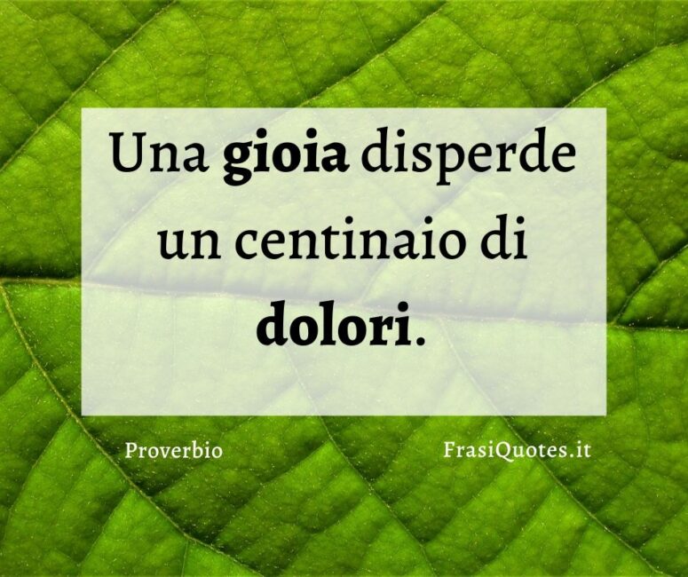 Proverbio gioia