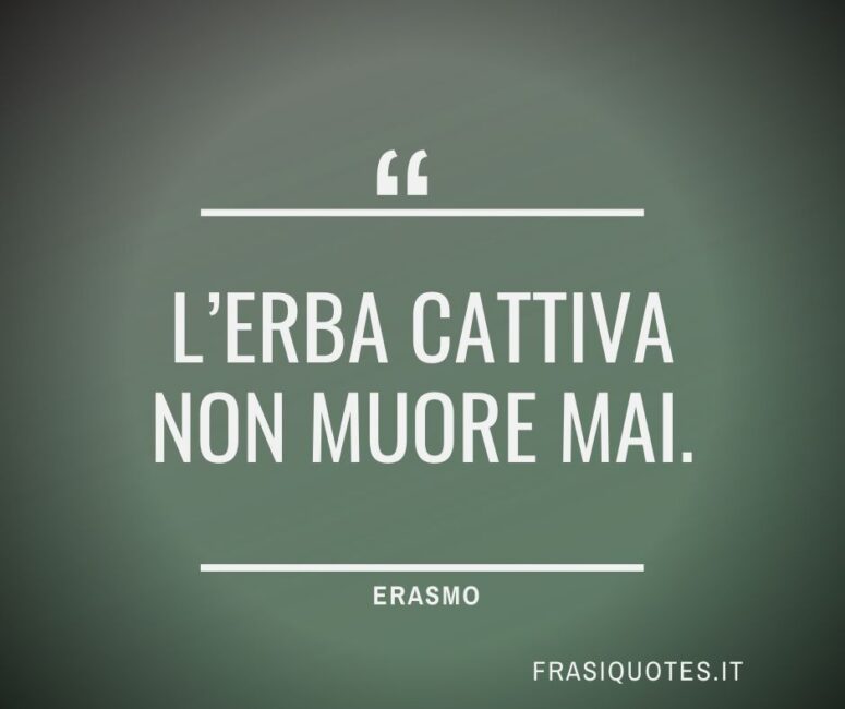 Citazioni Latine Famose di Erasmo