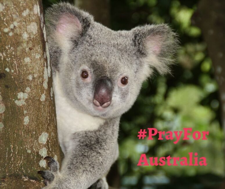#PrayForAustralia