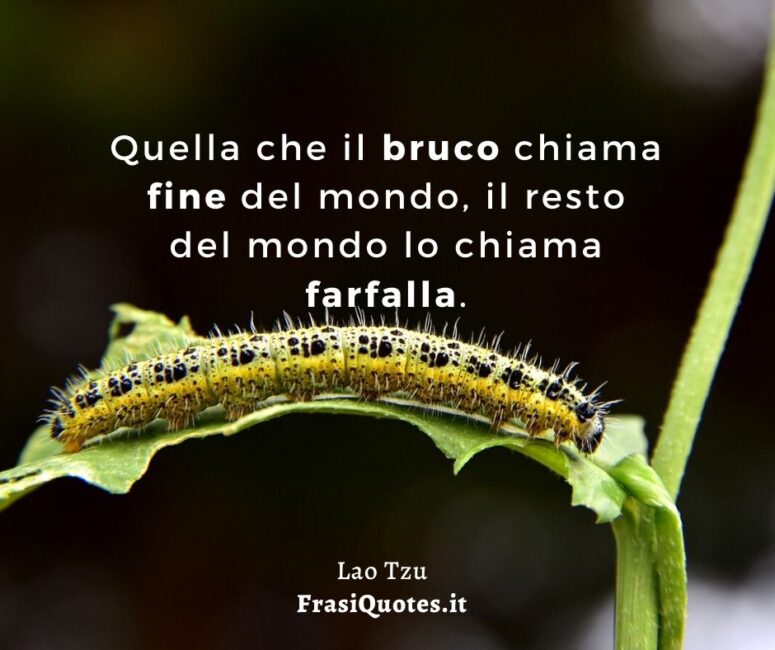 Lao Tzu _ Frasi belle Poetiche