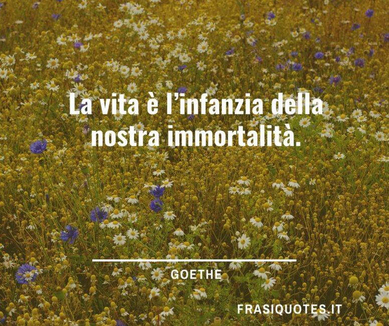 Citazioni sulla vita brevi Goethe