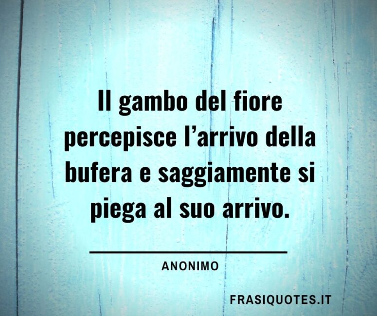 Anonimo Frasi Citazioni Aforismi Pensieri E Parole Frasi Sulla Vita