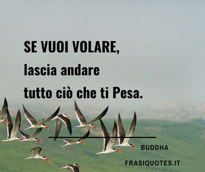 Buddha Frasi Sulla Vita